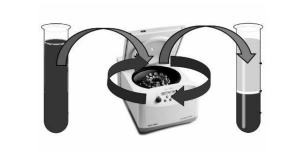 Задача к ЕГЭ по биологии на тему «Методы научного познания» №15