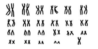 Задача к ЕГЭ по биологии на тему «Методы научного познания» №15