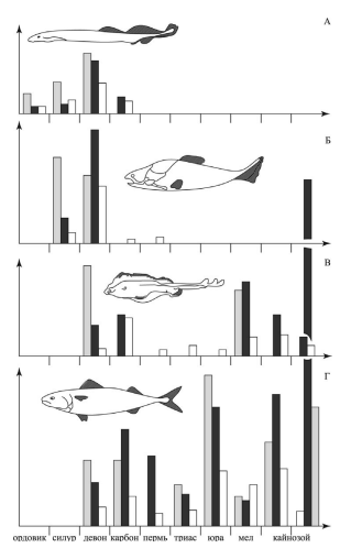 Задача к ЕГЭ по биологии на тему «Животные» №145