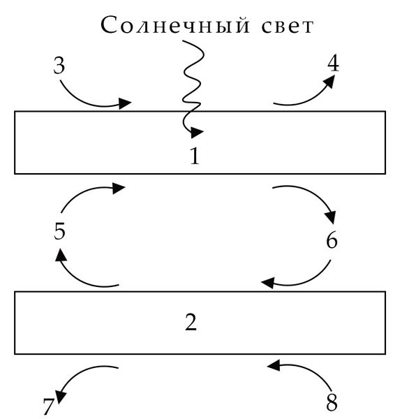 Задача к ЕГЭ по биологии на тему «Обмен веществ» №58