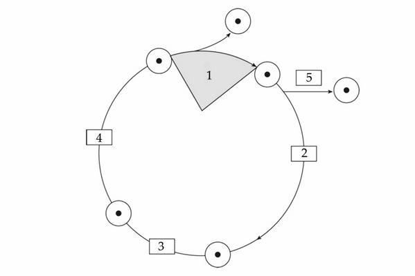 Задача к ЕГЭ по биологии на тему «Деление клетки и цикл» №15