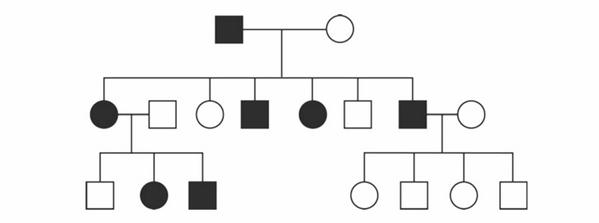 Задача к ЕГЭ по биологии на тему «Методы научного познания» №37