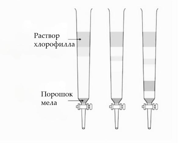 Задача к ЕГЭ по биологии на тему «Методы научного познания» №38
