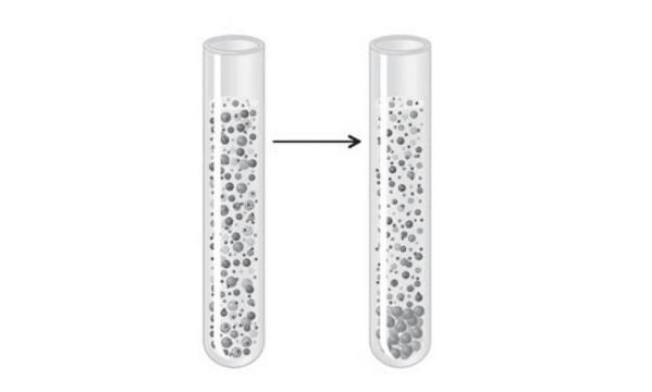 Задача к ЕГЭ по биологии на тему «Методы научного познания» №40