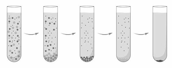 Задача к ЕГЭ по биологии на тему «Методы научного познания» №41