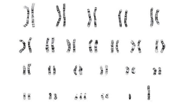 Задача к ЕГЭ по биологии на тему «Методы научного познания» №41