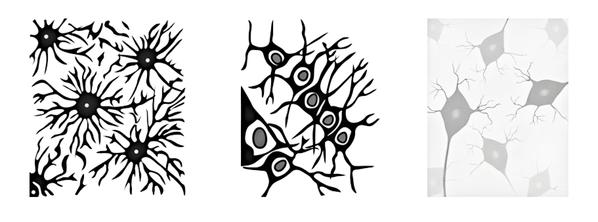 Задача к ЕГЭ по биологии на тему «Ткани» №61