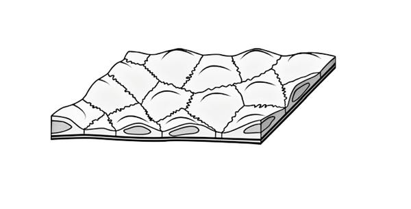Задача к ЕГЭ по биологии на тему «Человек» №397